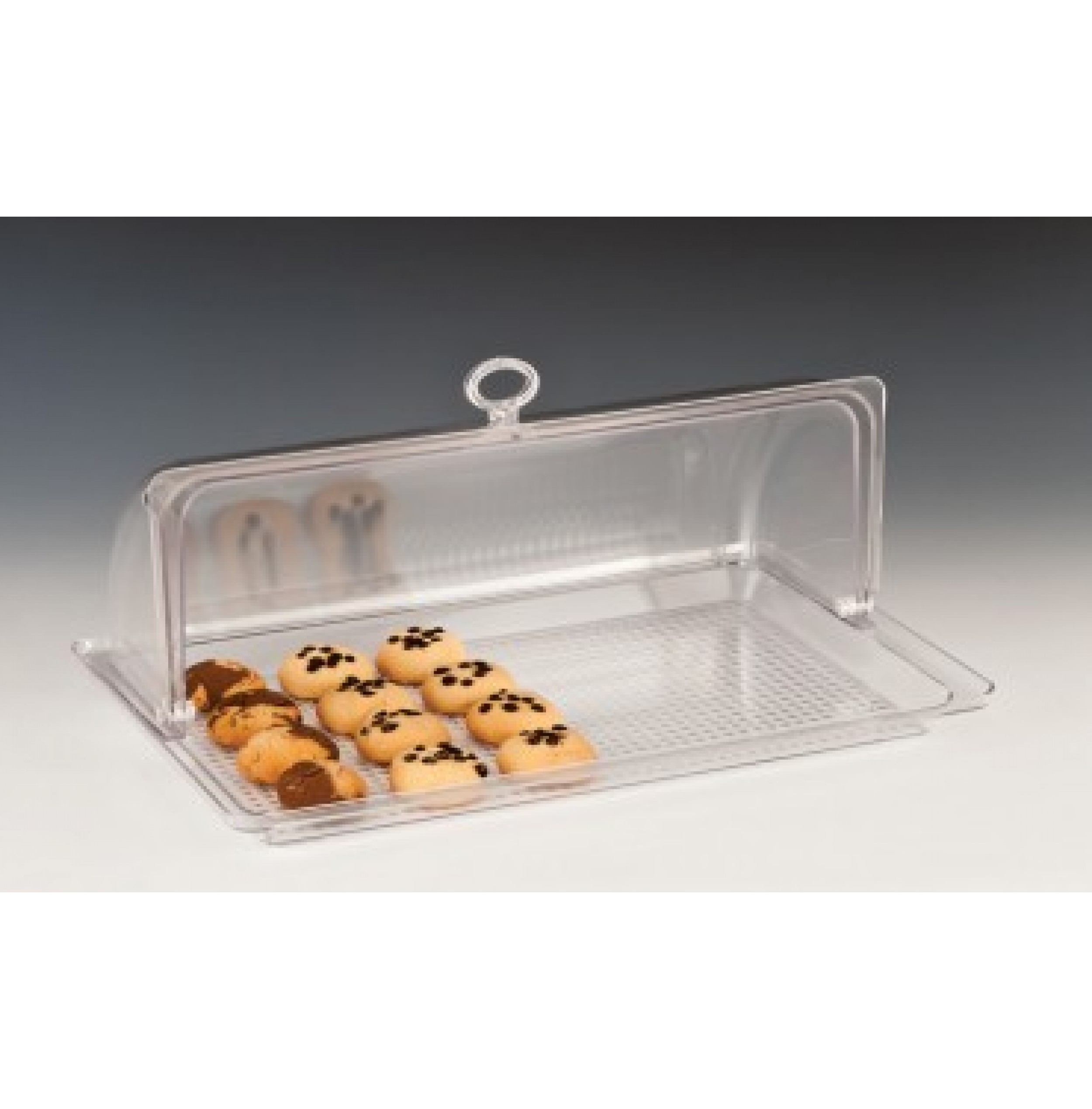 KOMPLE POLYCARBONAT MUHAFAZA KABI / KÜÇÜK 44 X 28 X H: 17 Cm